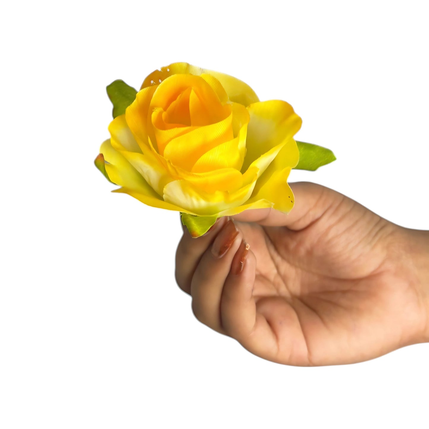 Yellow White Rose (MR4) Pack of (200)