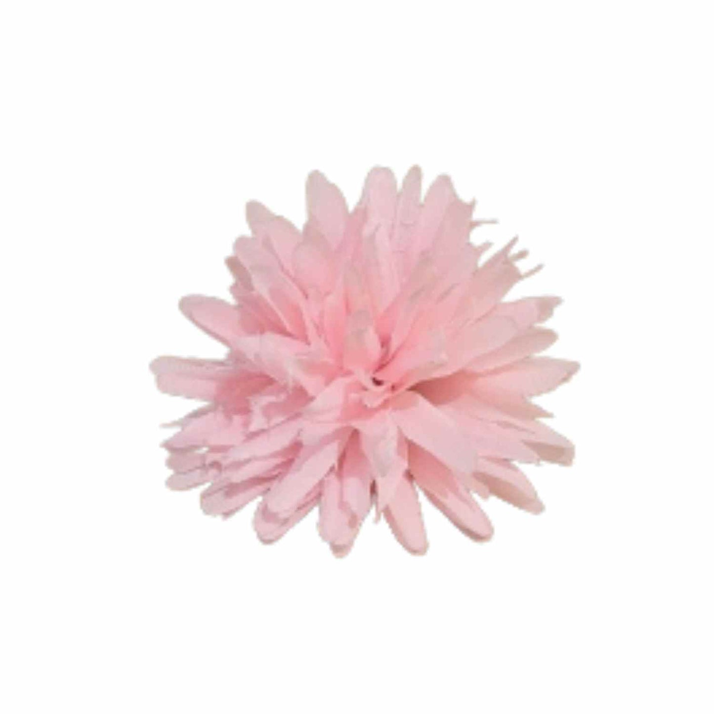Light Pink Dahlia (Pack of 100)