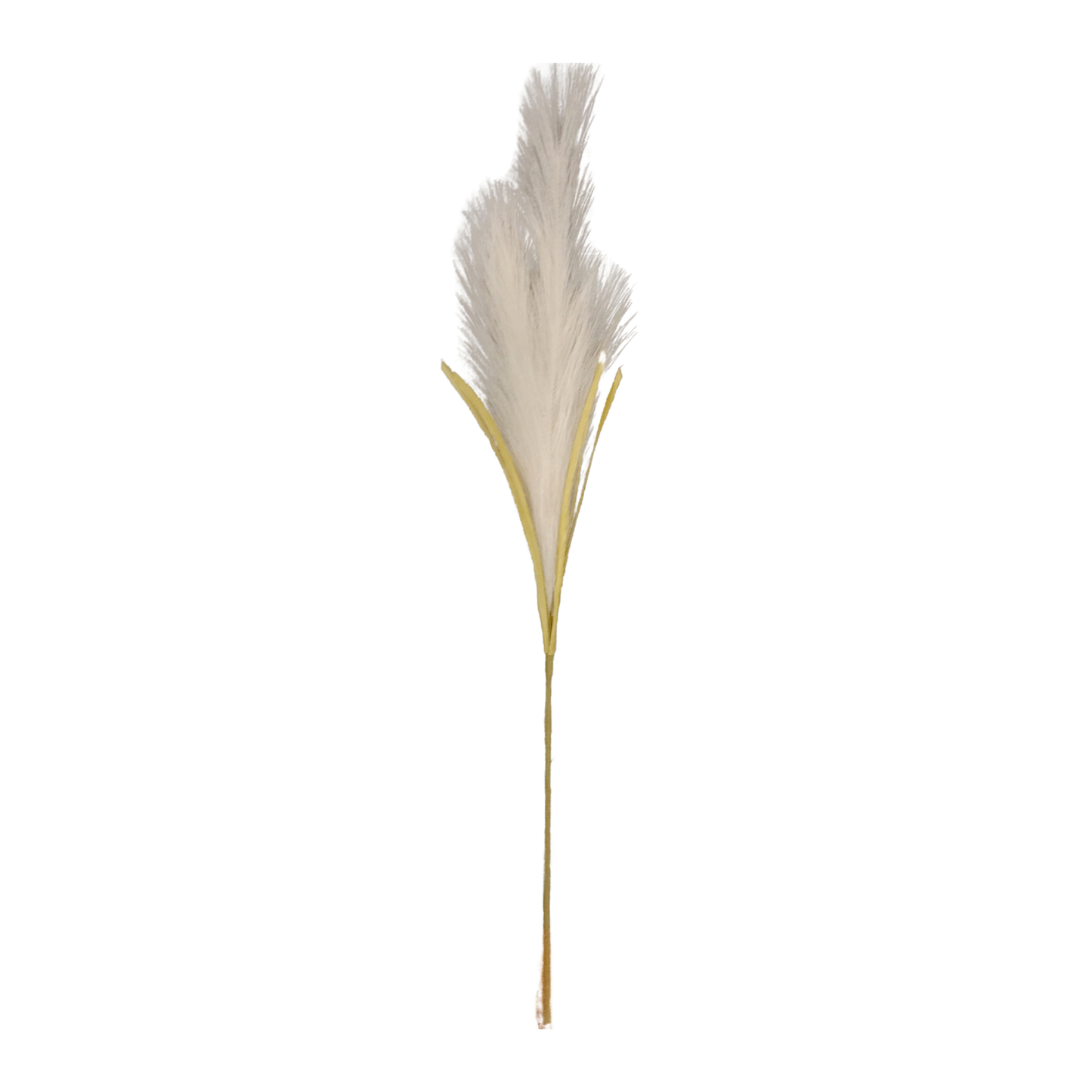 Pampas Grass Bunch 20 Stick 46.5" White (Pack of 10)