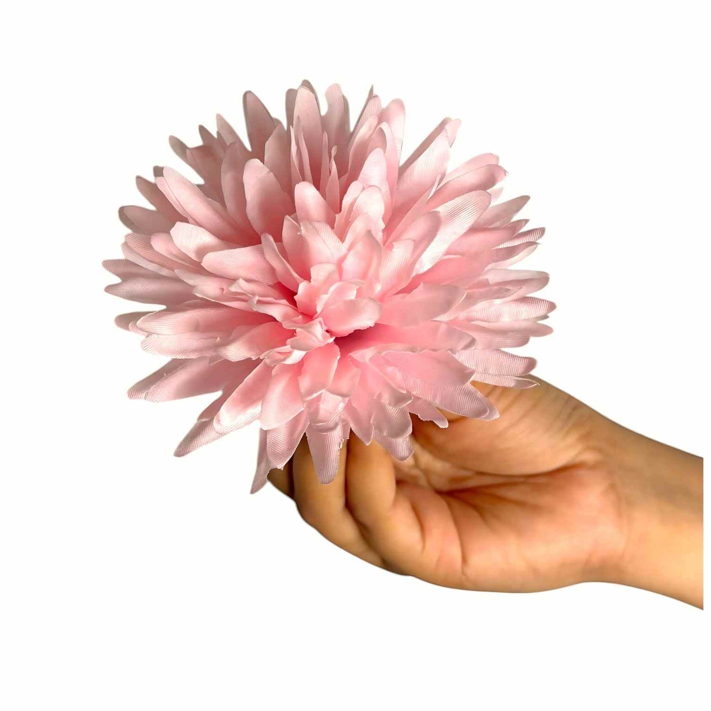 Light Pink Dahlia (Pack of 100)