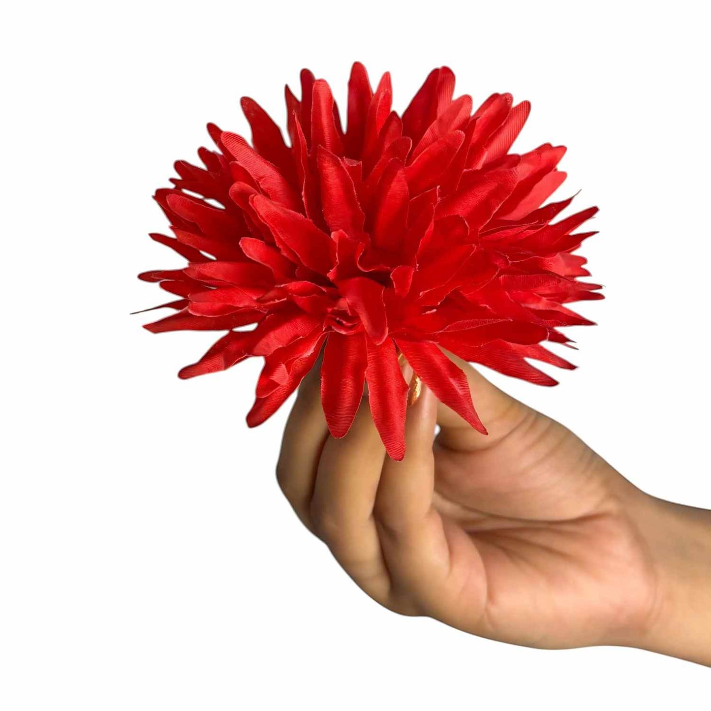 Red Dahlia (Pack of 100)