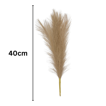 Pampas Grass Stick 17" Brown (Pack of 10)