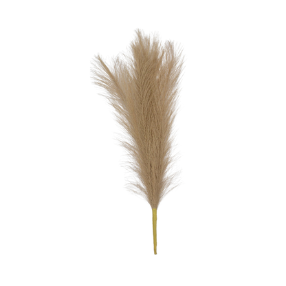 Pampas Grass Stick 17" Brown (Pack of 10)