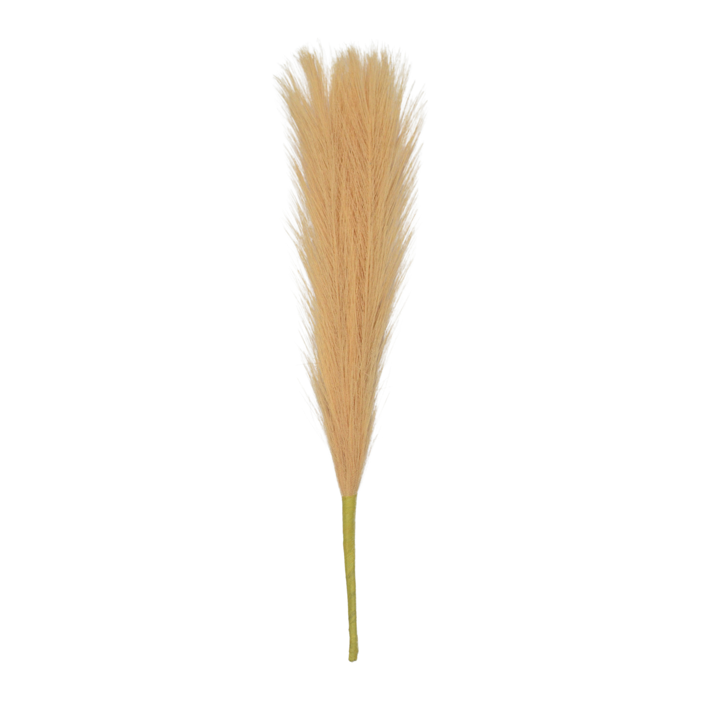 Pampas Grass Stick 17" Cream (Pack of 10)