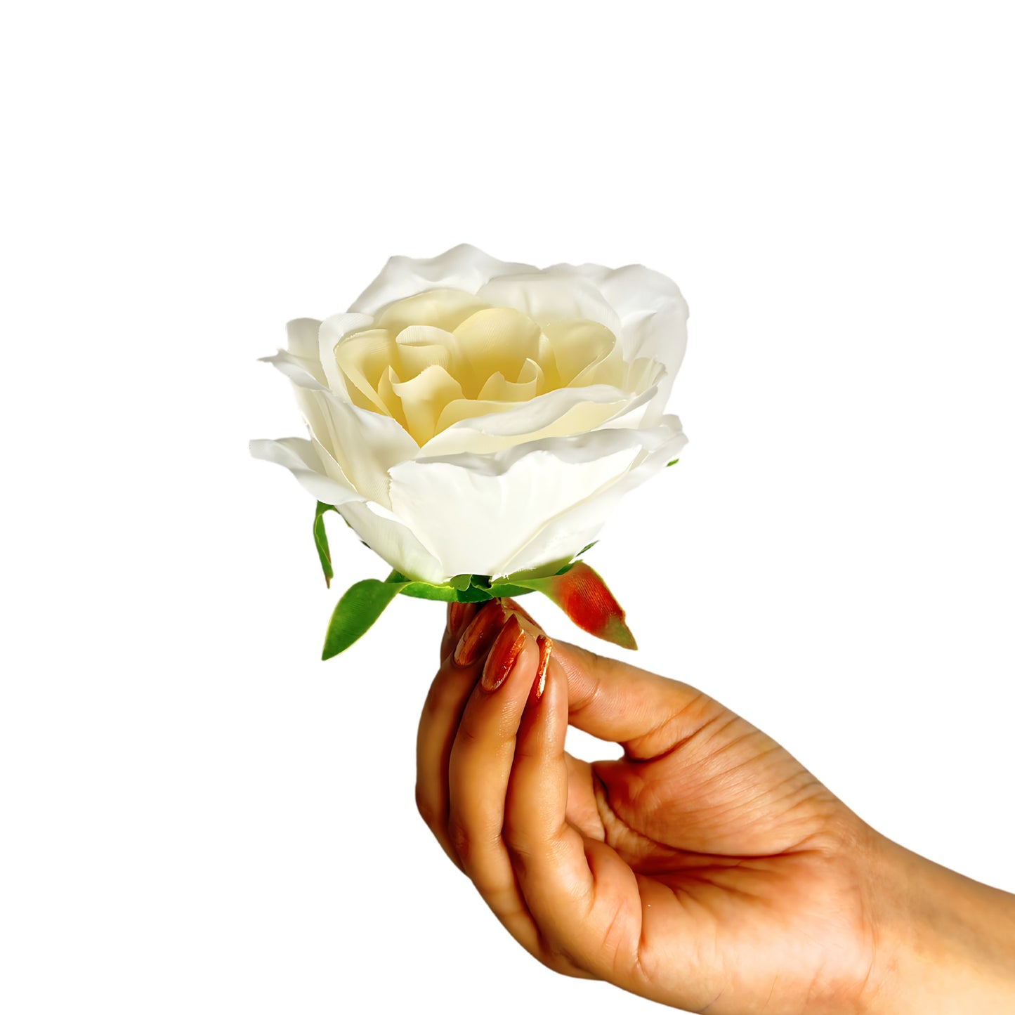 Cream MR10 Rose (Pack of 90)