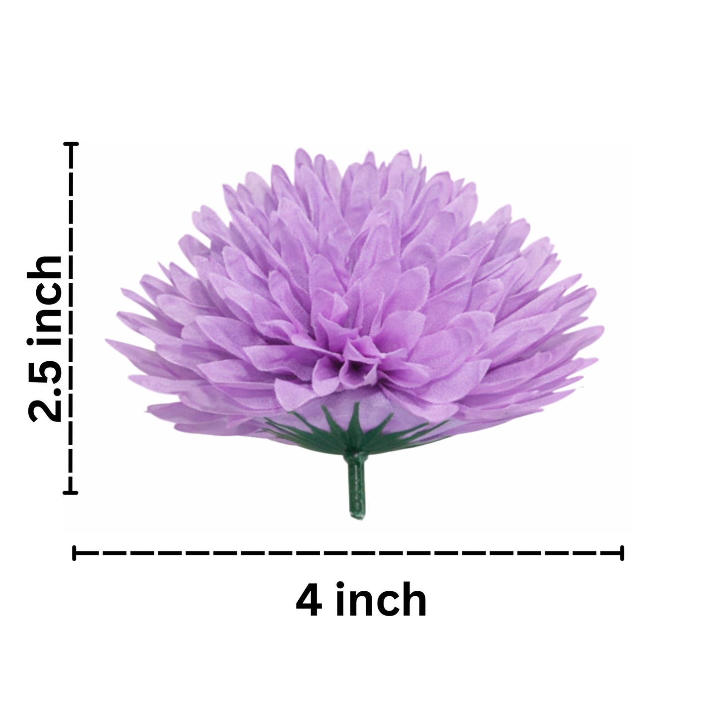 Lavender Dahlia (Pack of 100)