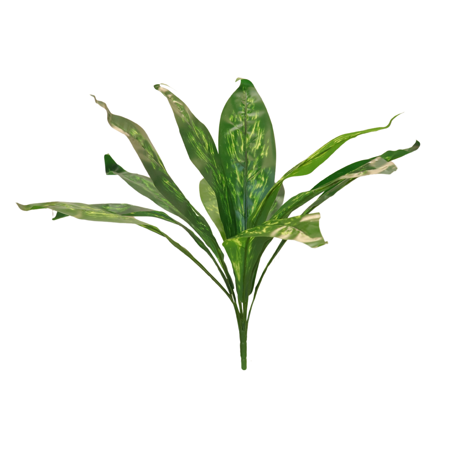 Artificial Dieffenbachia Bunch D/s Grean (Pack of 5)
