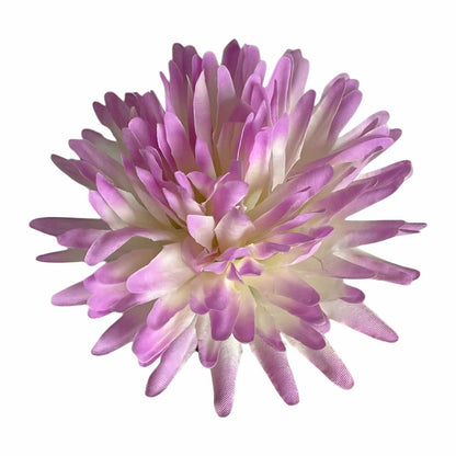 Light Purple White Dahlia (Pack of 100)