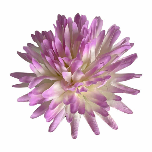 Light Purple White Dahlia (Pack of 100)