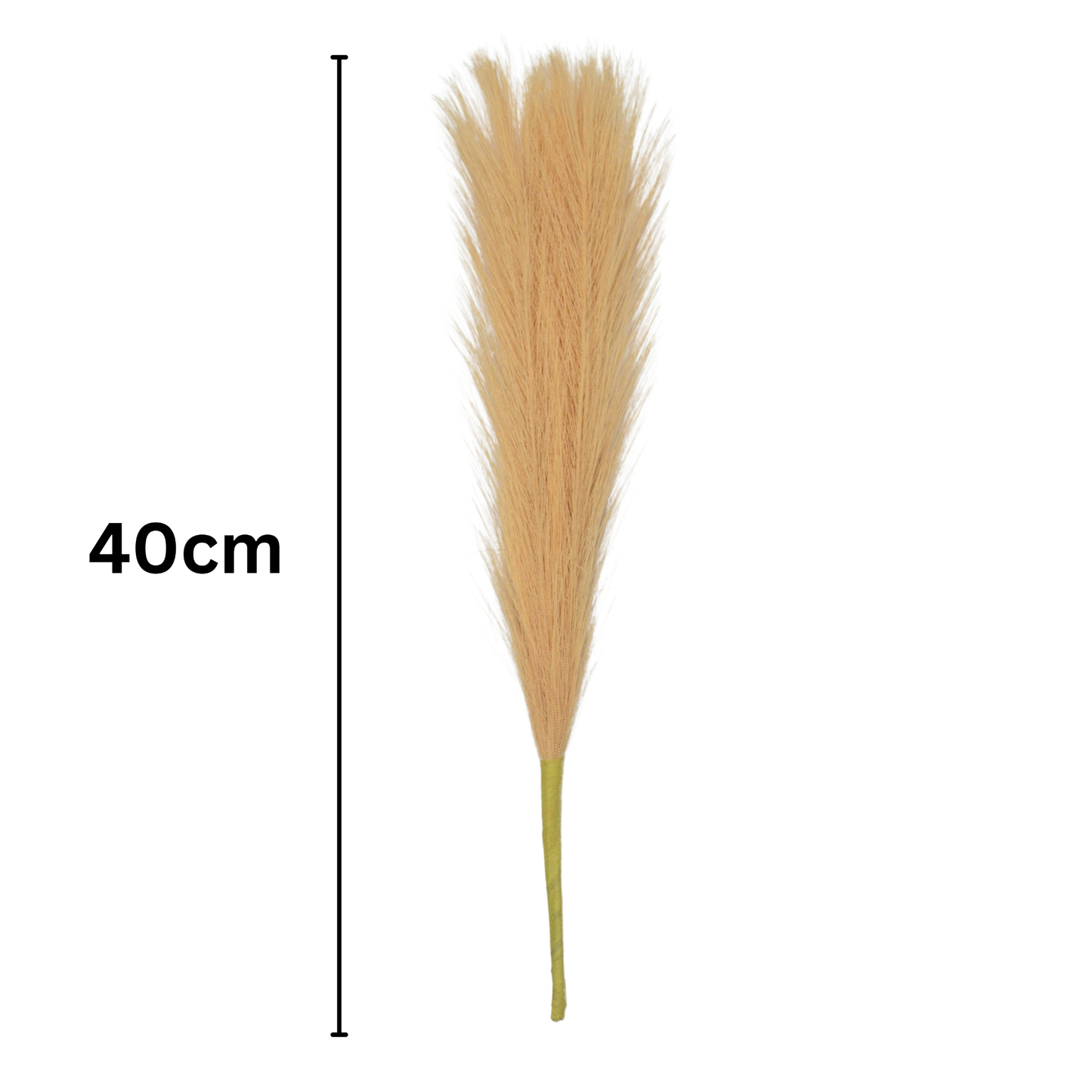 Pampas Grass Stick 17" Cream (Pack of 10)