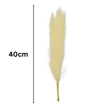 Pampas Grass Stick 17" Peach (Pack of 10)