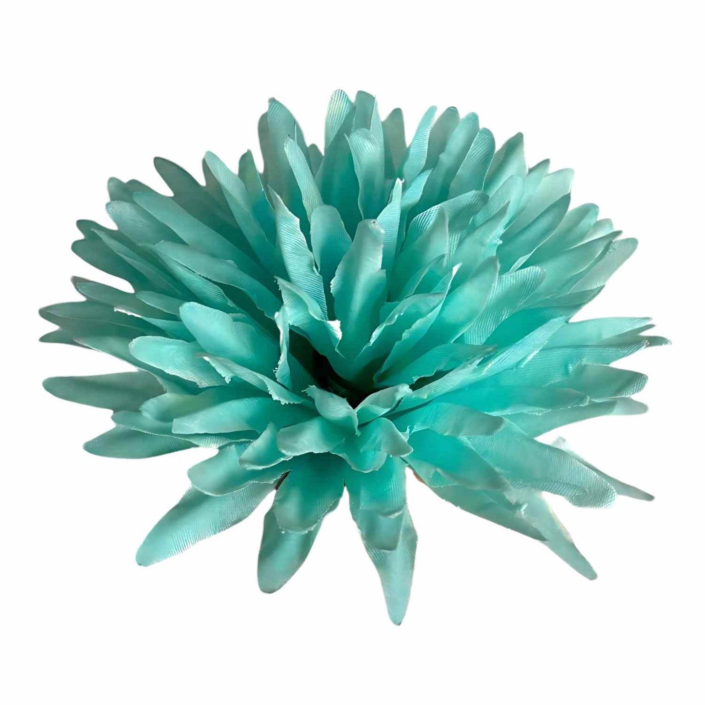 Sea Green Dahlia (Pack of 100)