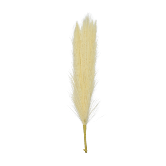 Pampas Grass Stick 17" Peach (Pack of 10)
