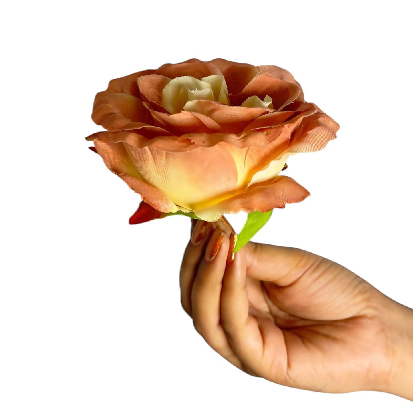 Gajri Green MR10 Rose (Pack of 90)