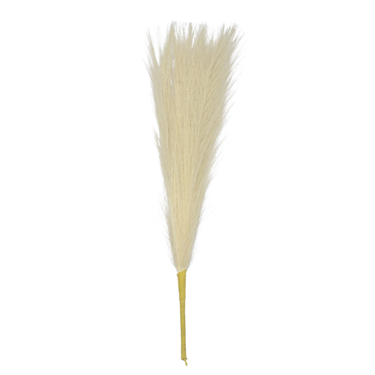 Pampas Grass Stick 17" White (Pack of 10)