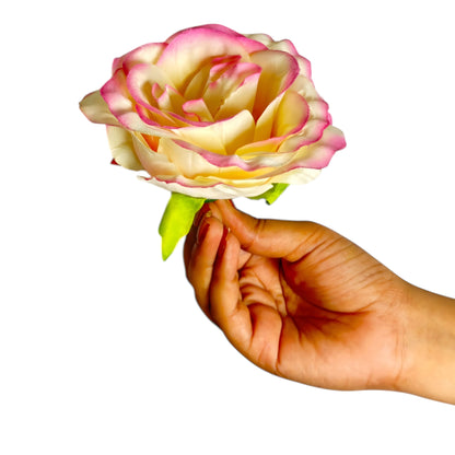 Light Magenta Cream MR10 Rose (Pack of 90)