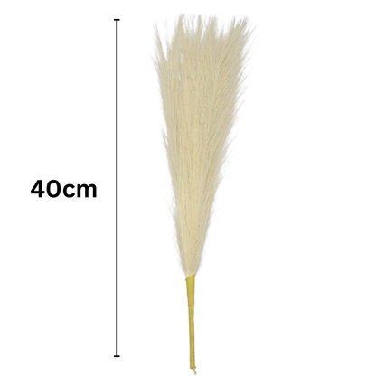 Pampas Grass Stick 17" White (Pack of 10)