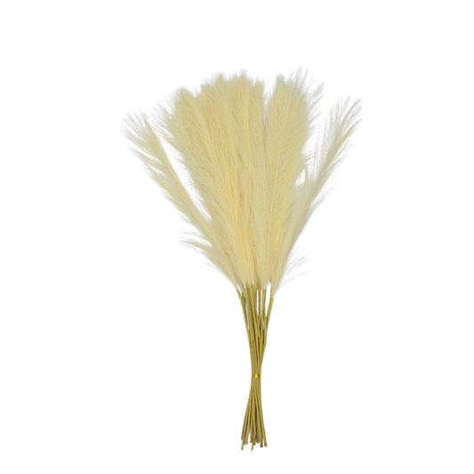 Pampas Grass Single Stick 21" Cream (Pack of 10)