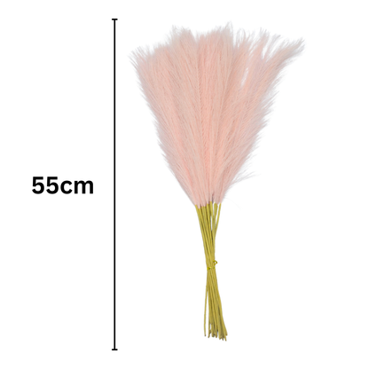 Pampas Grass Single Stick 21" Baby Pink (Pack of 10)