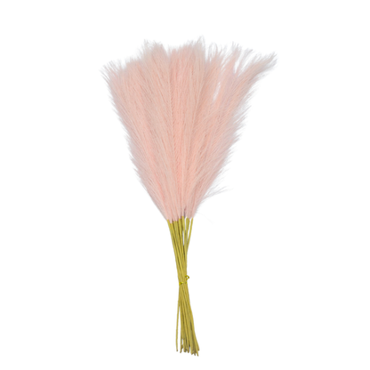 Pampas Grass Single Stick 21" Baby Pink (Pack of 10)