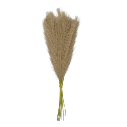 Pampas Grass Single Stick 21" Brown (Pack of 10)
