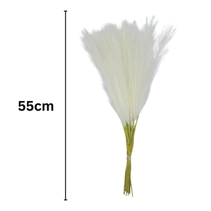 Pampas Grass Single Stick 21" Off White (Pack of 10)