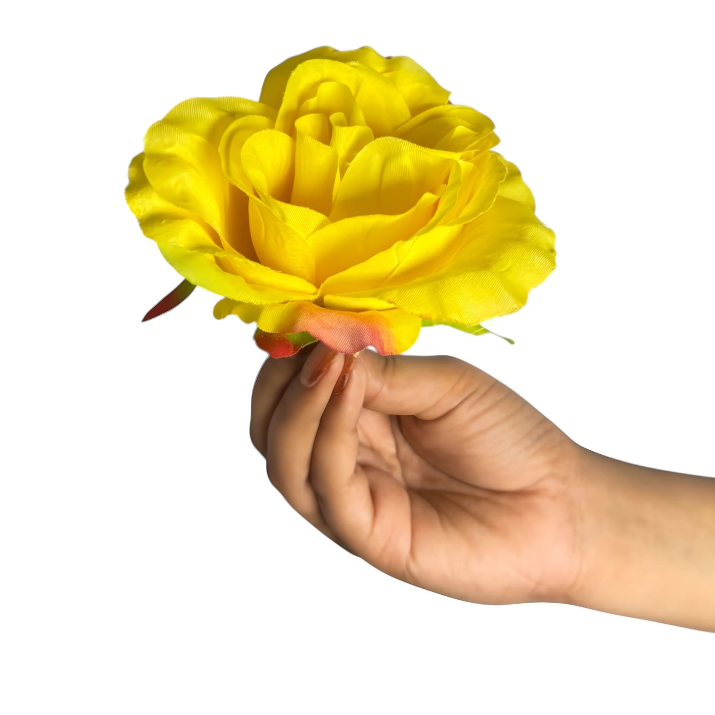 Yellow MR10 Rose (Pack of 90)