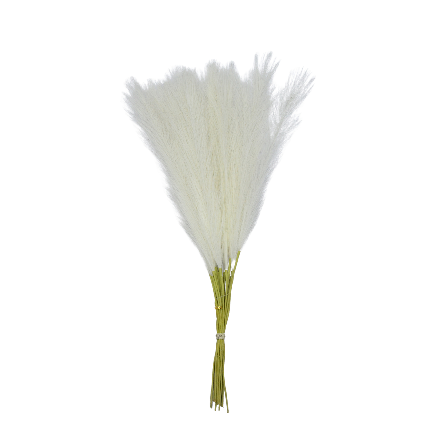 Pampas Grass Single Stick 21" Off White (Pack of 10)