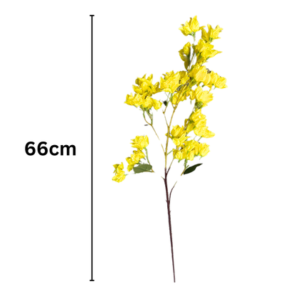 Bougainvillea Stick 4 Stem Yellow (Pack of 10)
