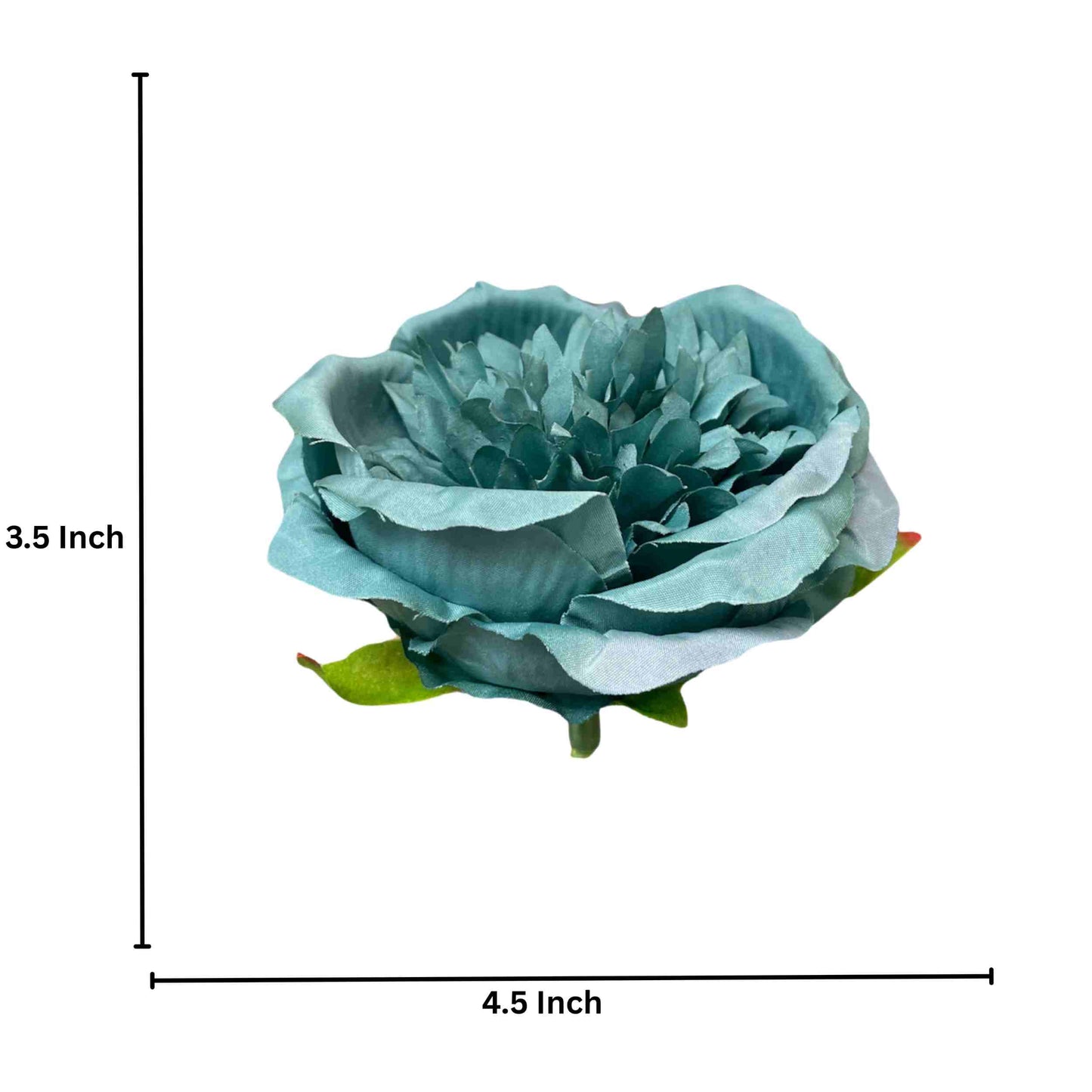 Blue Diamond Peony (Pack of 50)