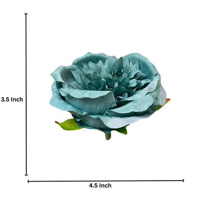 Blue Diamond Peony (Pack of 50)