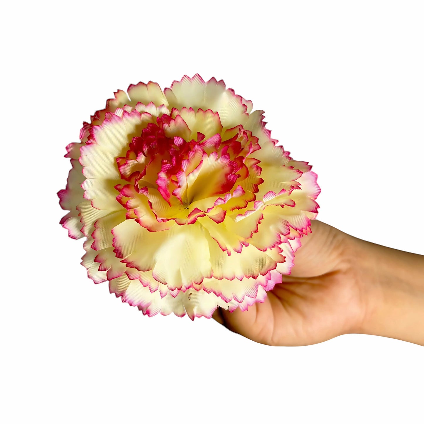Lemon yellow Big Carnation (Pack of 200)