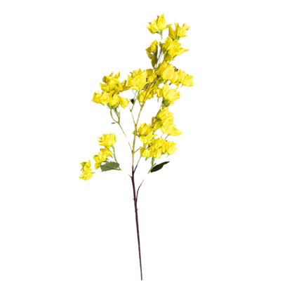 Bougainvillea Stick 4 Stem Yellow (Pack of 10)