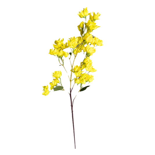 Bougainvillea Stick 4 Stem Yellow (Pack of 10)