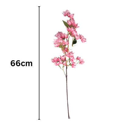Bougainvillea Stick 4 Stem Pink (Pack of 10)