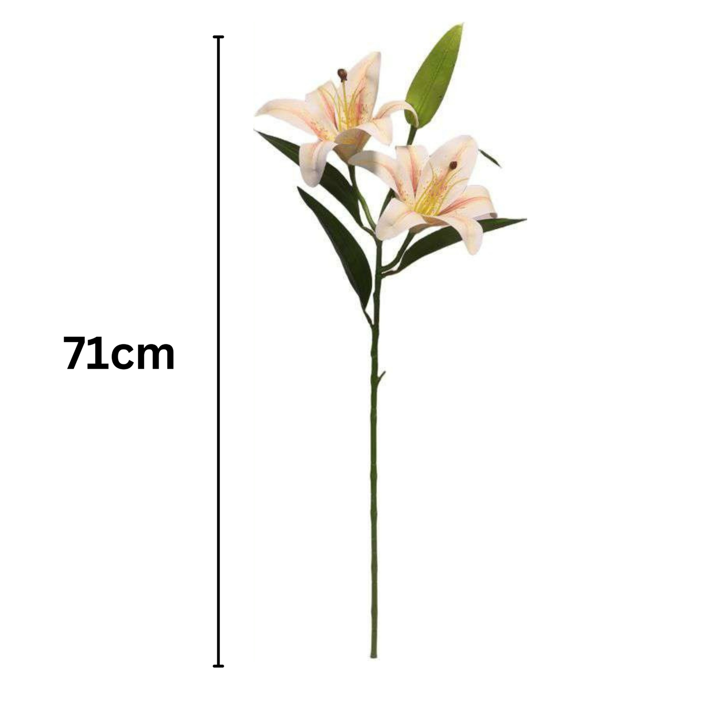 Lily Stick 28" White Brown (Pack of 10)