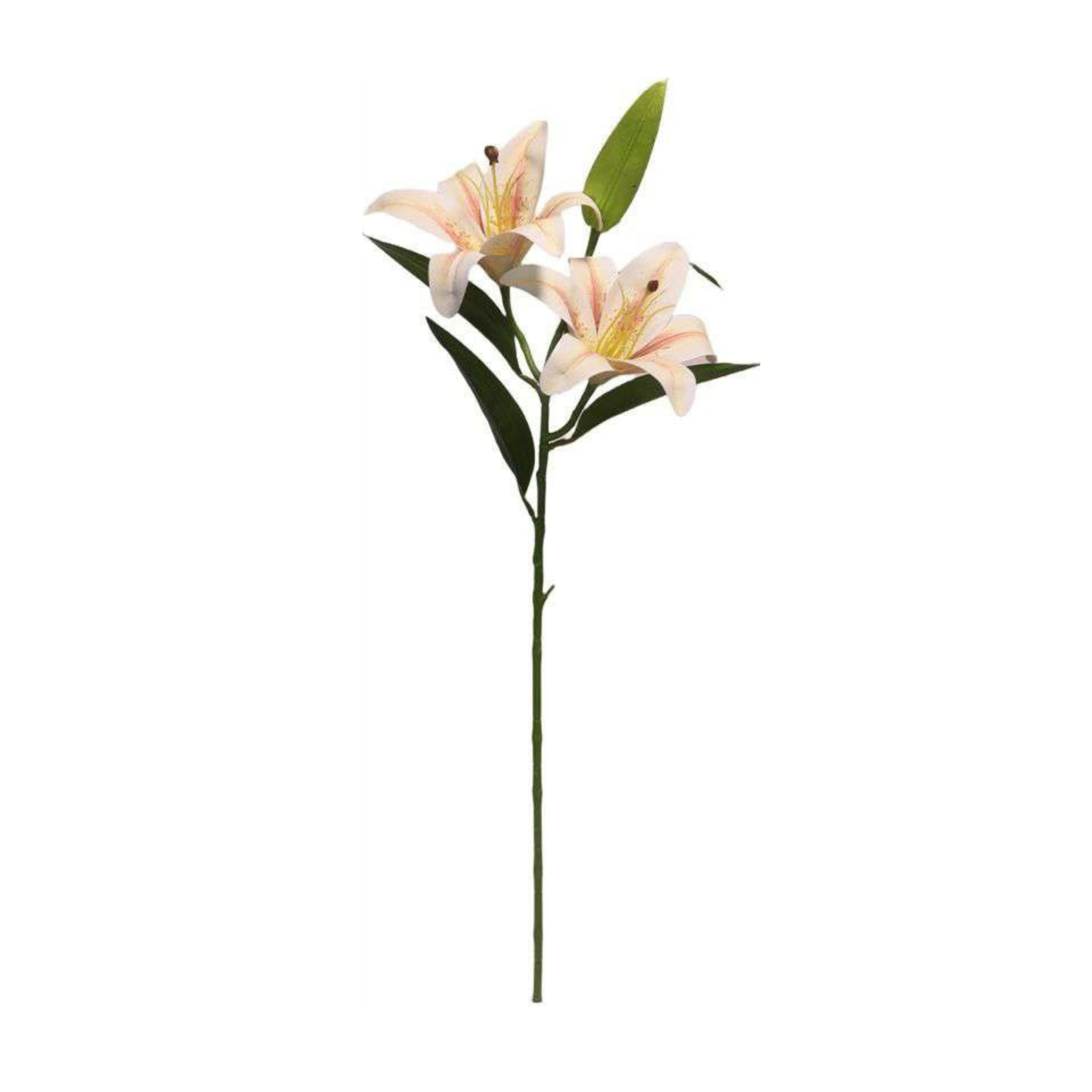 Lily Stick 28" White Brown (Pack of 10)