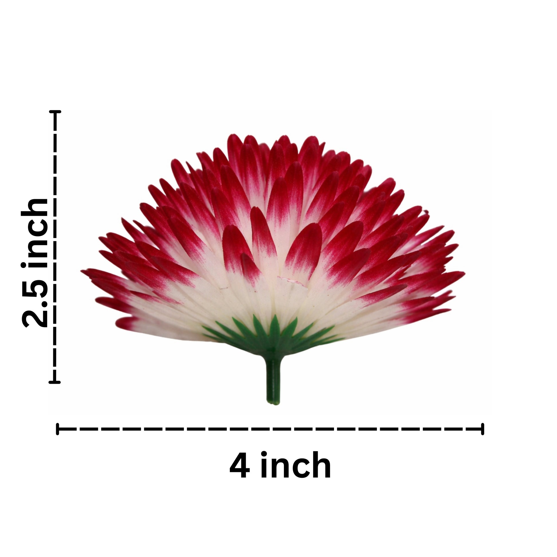 Red and white artificial flower with measurements on a white background