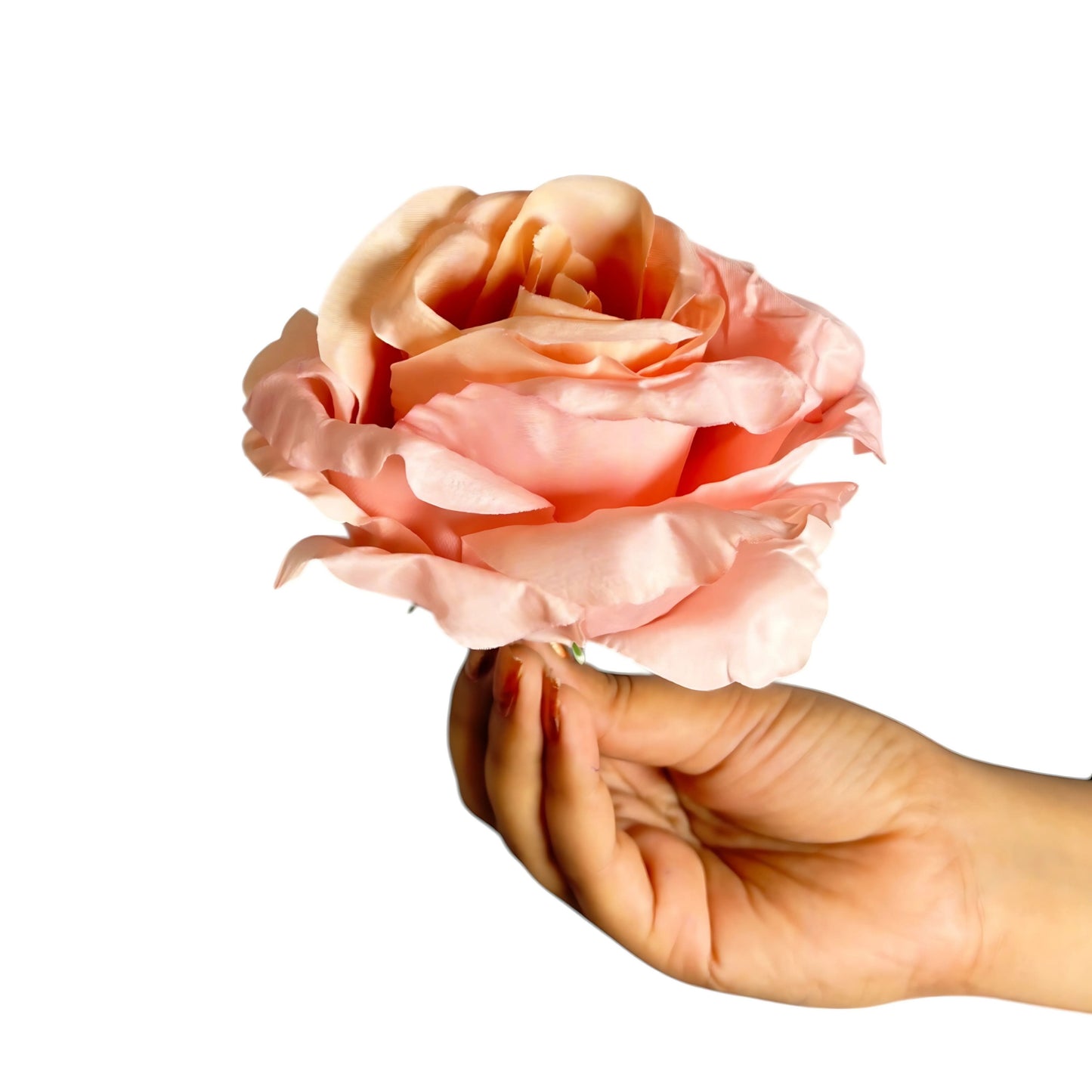 Rose Gold MR16 ( Pack of 50)