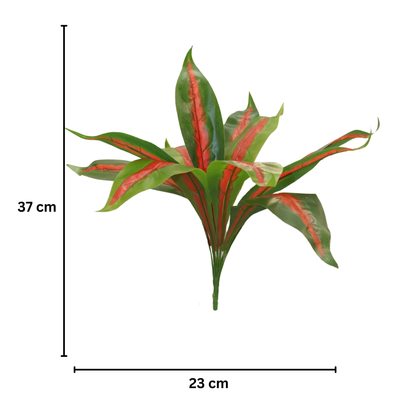 Bunch Leaf Plant 12 Head D/s Green Red (Pack of 5)