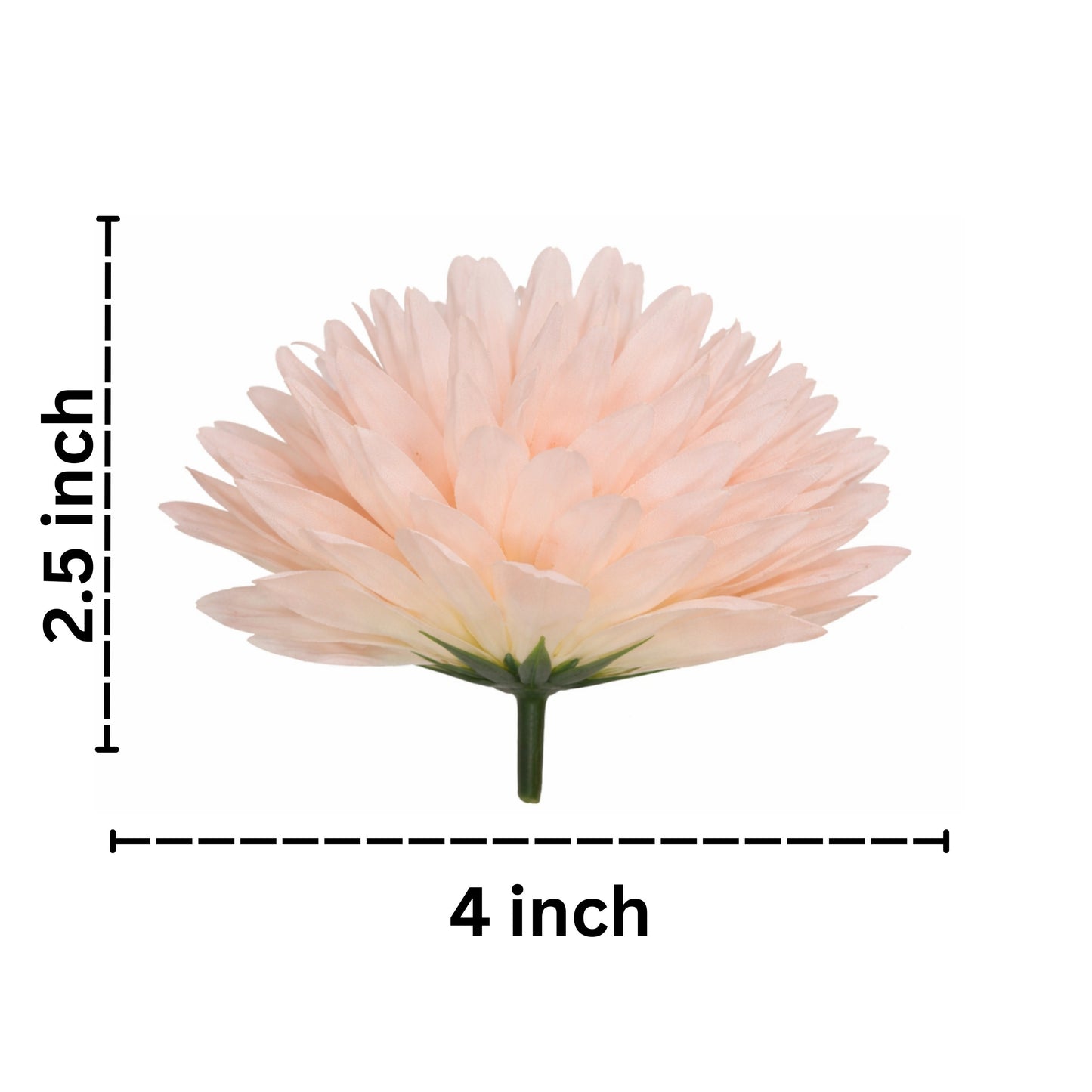 Measurement chart of a light pink flower with dimensions labeled on a white background
