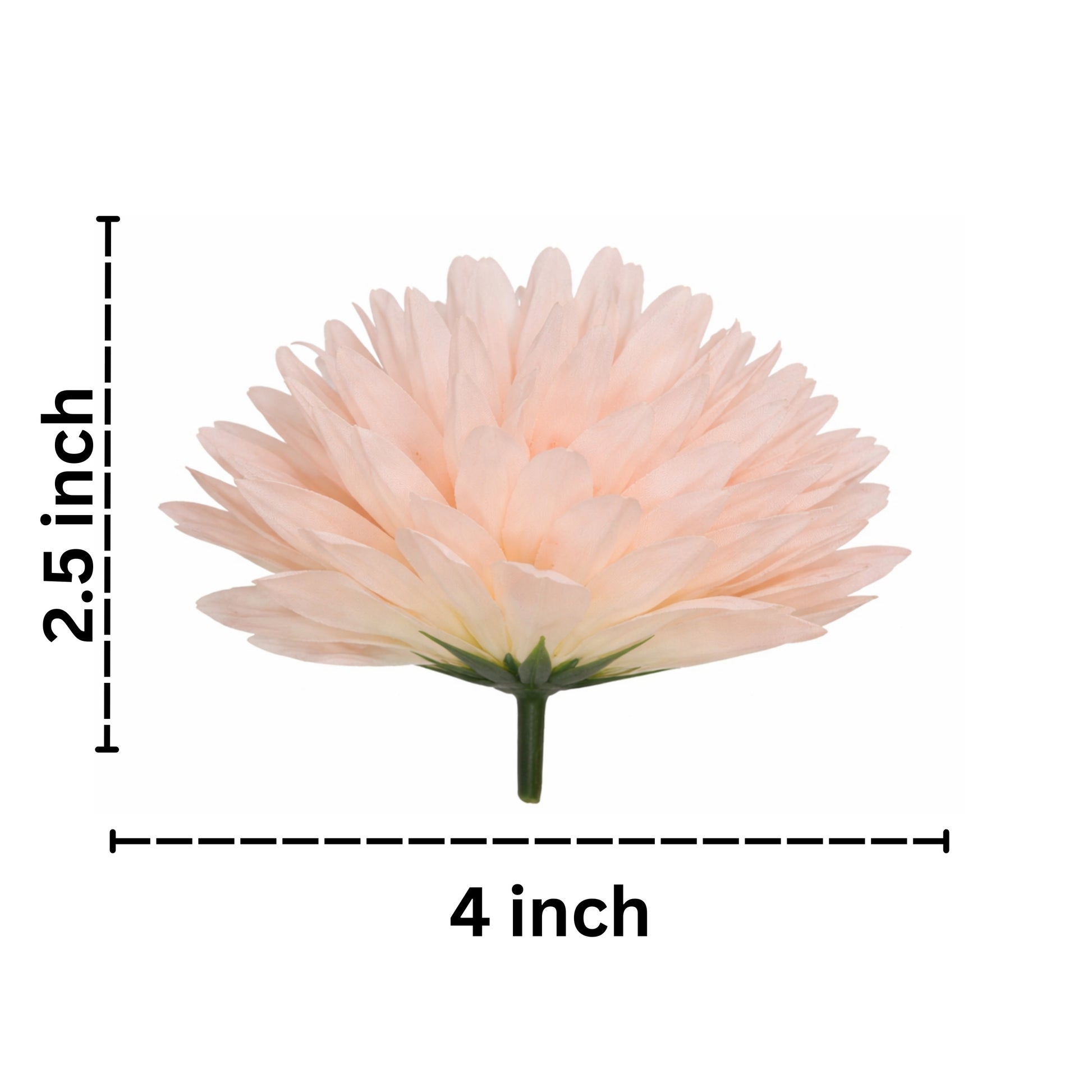 Measurement chart of a light pink flower with dimensions labeled on a white background