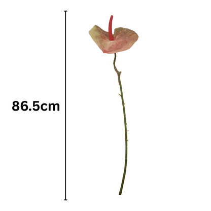 Anthurium Stick 17.5" - Light Red Green (Pack of 10)