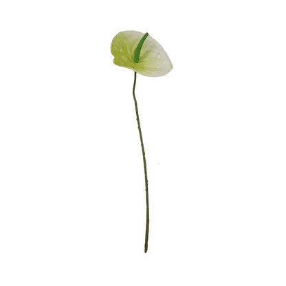 Anthurium Stick 17.5" - Light Green White (Pack of 10)