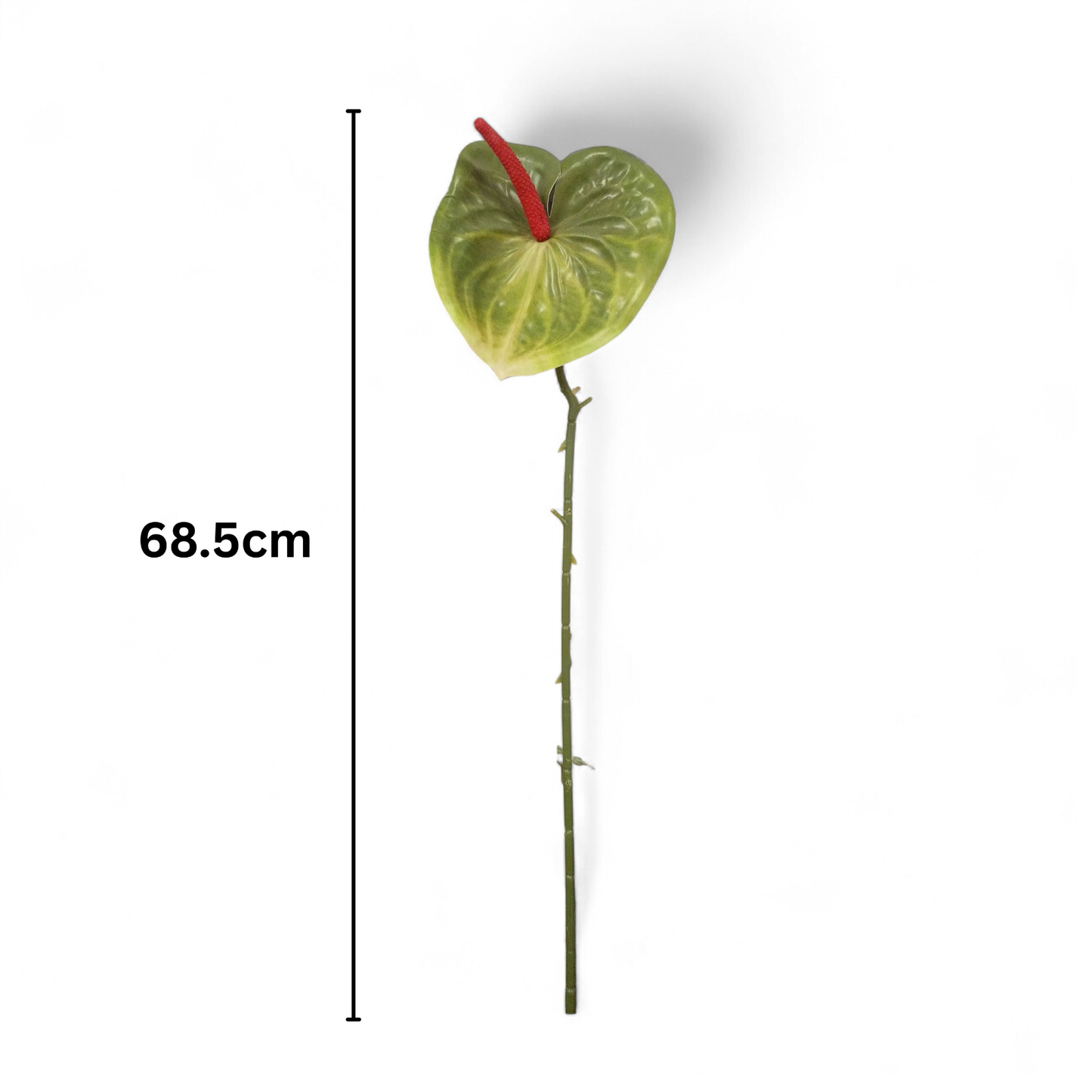 Anthurium Stick 17.5" - D/s Green (Pack of 10)