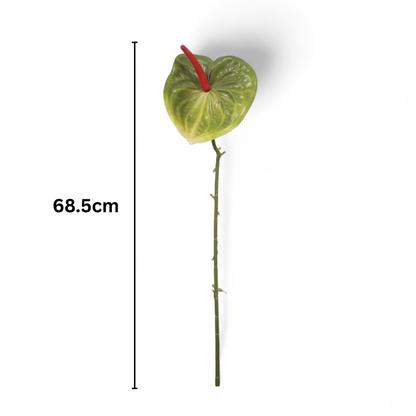 Anthurium Stick 17.5" - D/s Green (Pack of 10)