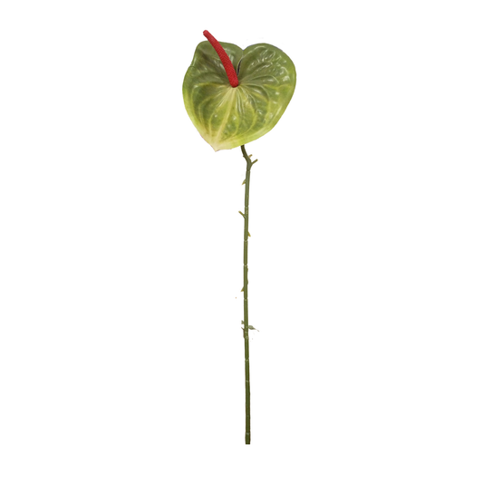 Anthurium Stick 17.5" - D/s Green (Pack of 10)