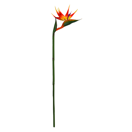 Bird of Paradise 91cm Yellow Orange (Pack of 10)