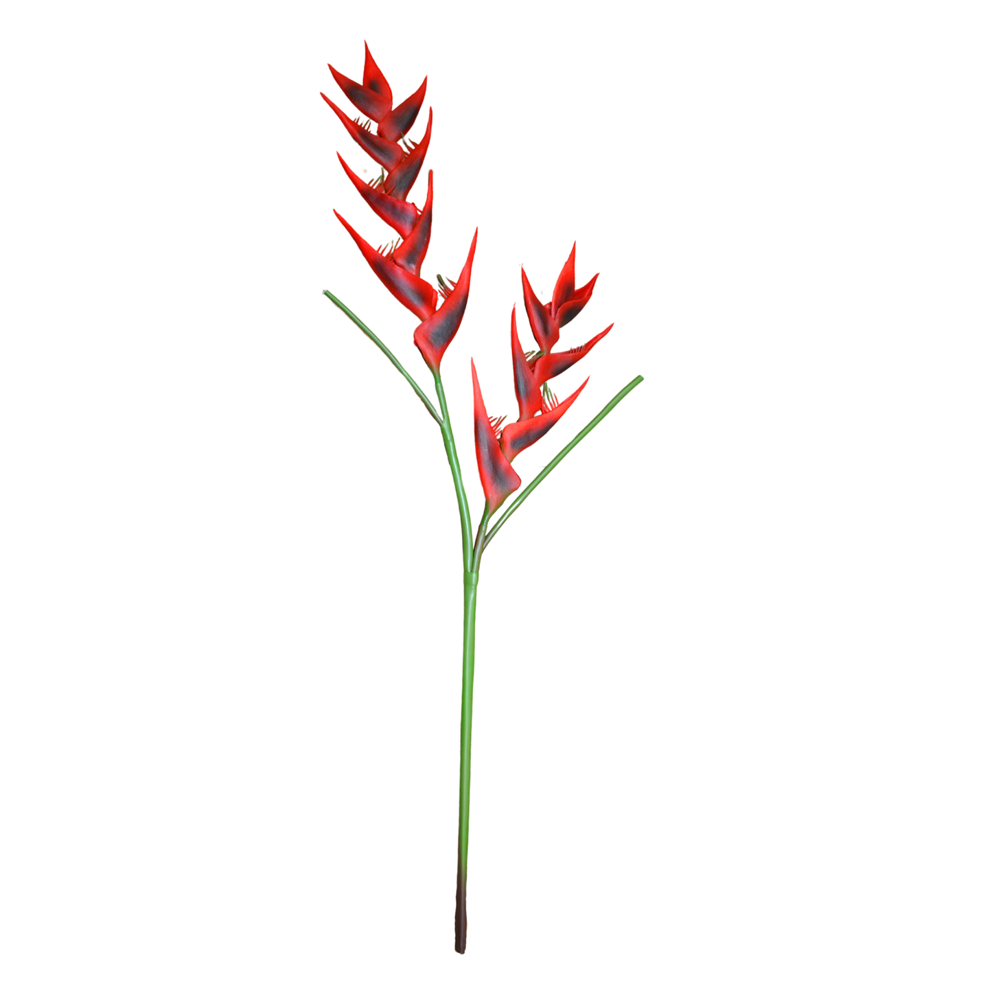 Heliconia Stick 16 Flower 100cm Red (Pack of 10)