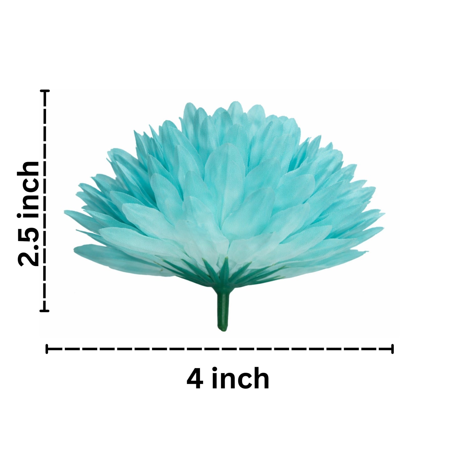 Turquoise flower with measurements on a white background